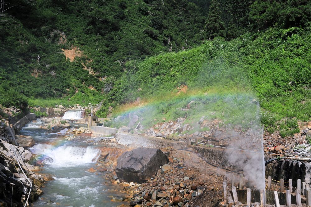 地狱谷野猿公苑