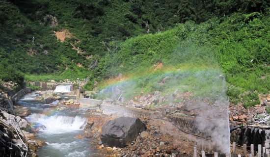 地狱谷野猿公苑