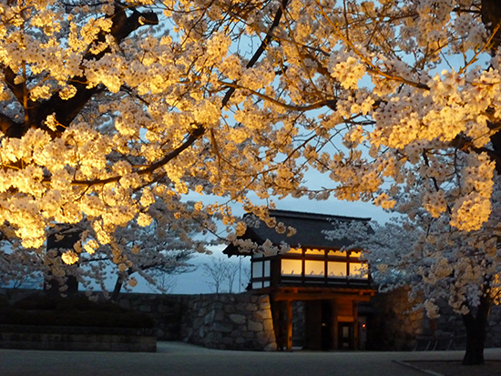旅游信息和活动首页|长野松代美居温泉度假酒店