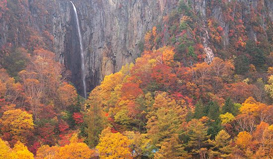 照片画廊图像|长野松代美居温泉度假酒店