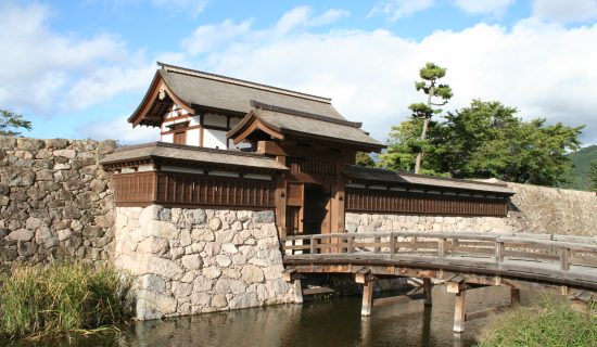 Matsuyo Castle