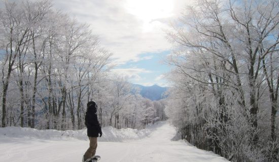 [White horses are all mountains] HAKUBA VALLEY PASS with 1-day ticket