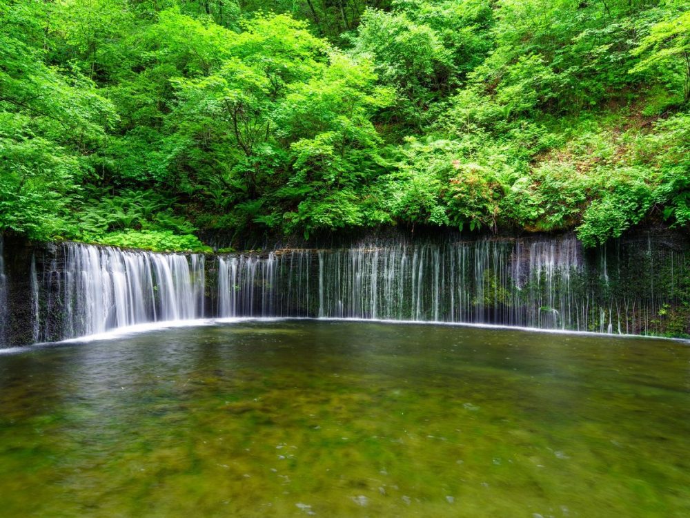 Introducing Nagano Matsushiro's sightseeing and activity-selling rankings