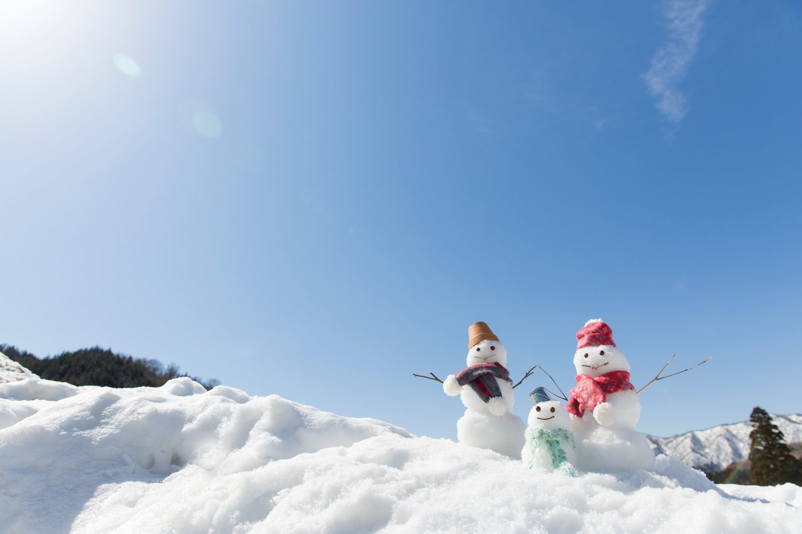 【Official Website Limited Accommodation Plan】 Children under elementary school age are free!