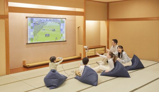 Sora (SORA) Theater room