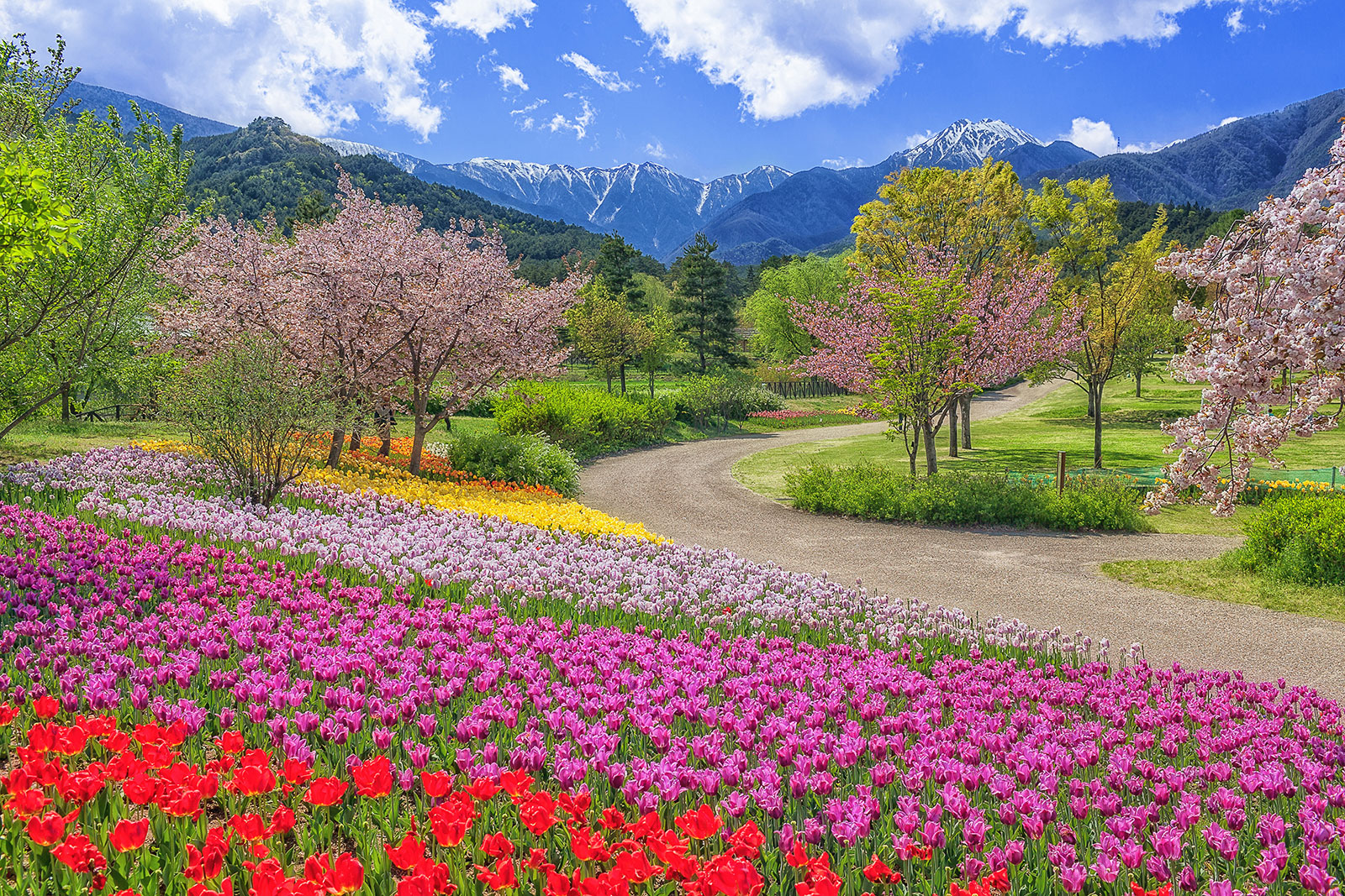 主要視覺形象|長野松代美居溫泉度假酒店 