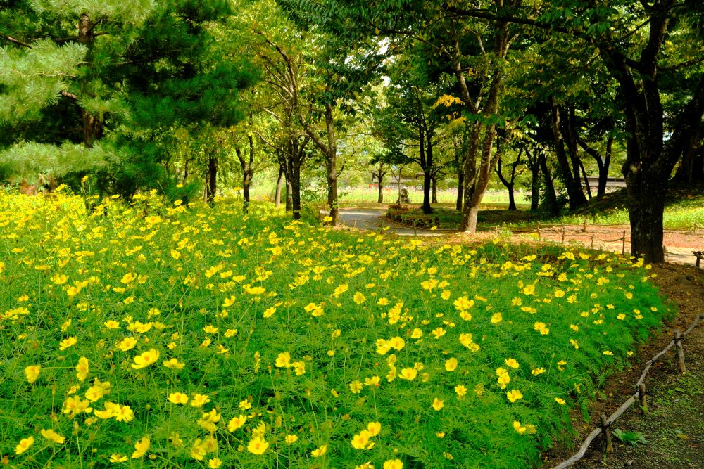 國營阿爾卑斯山的公園