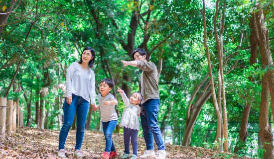 【官方網站限定住宿計畫】國小生以下的孩子免費!