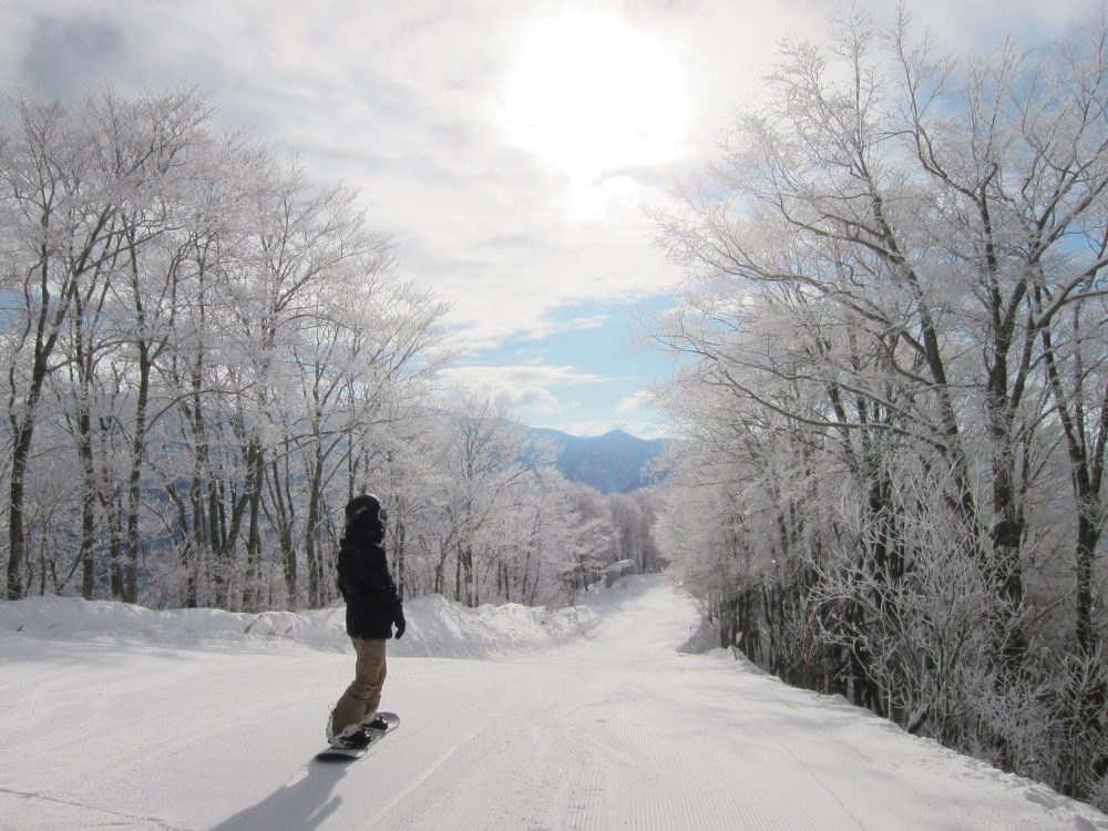 【白马全山共通】HAKUBA VALLEY PASS 1日券套餐